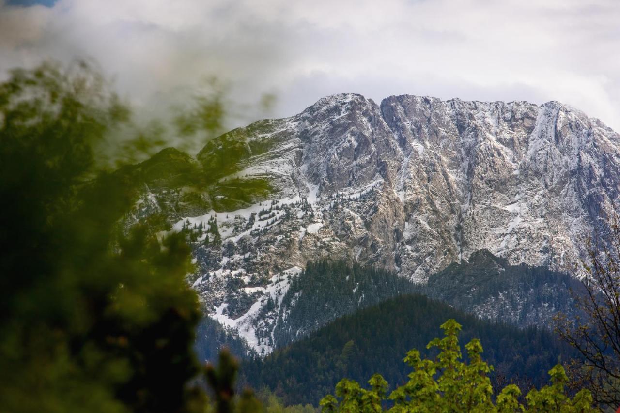 Apartamenty Butikowe & Sauna Zakopane By Renters Dış mekan fotoğraf
